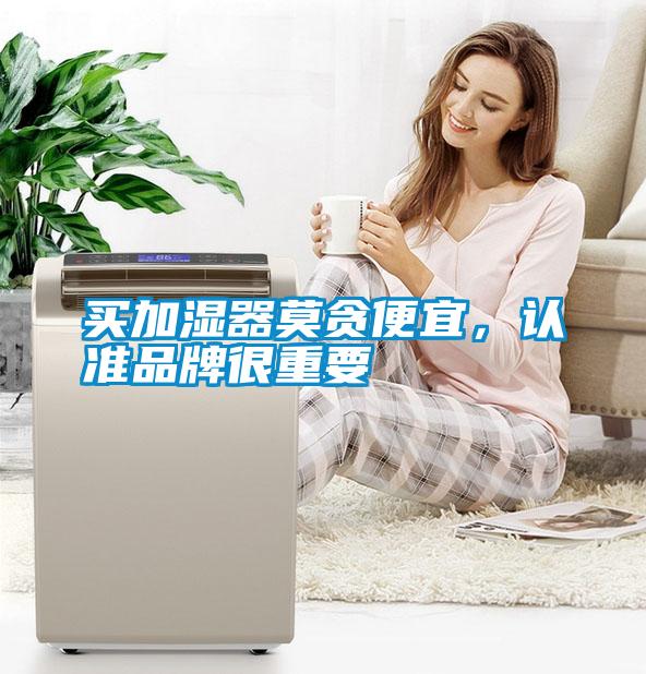 買加濕器莫貪便宜，認準品牌很重要