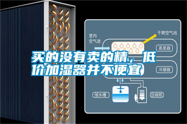 買的沒(méi)有賣的精，低價(jià)加濕器并不便宜