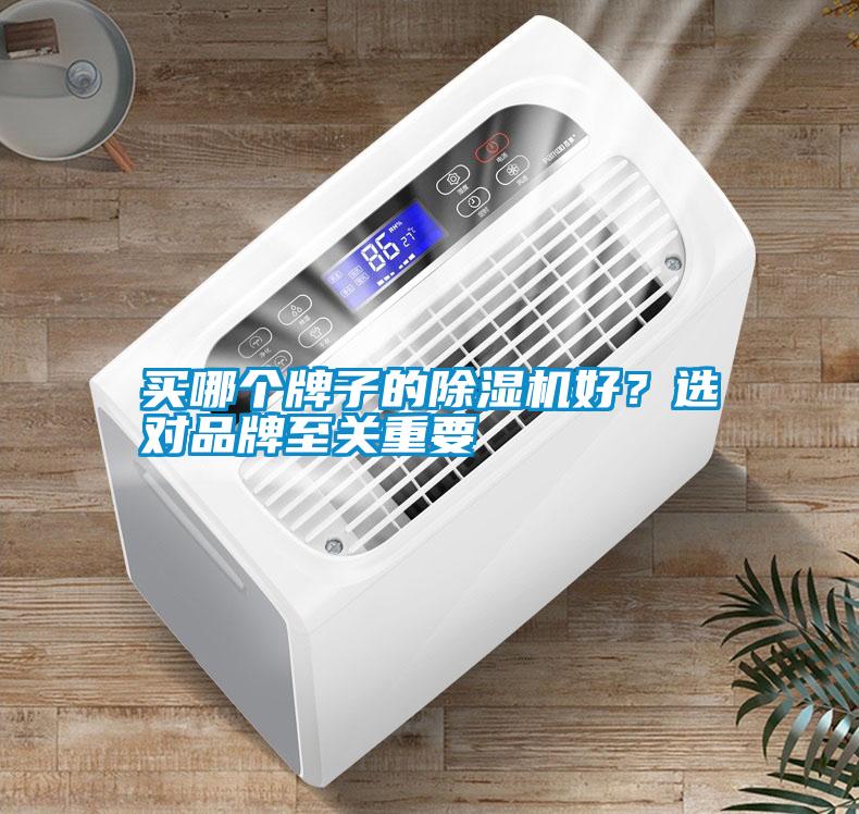 買哪個牌子的除濕機好？選對品牌至關重要