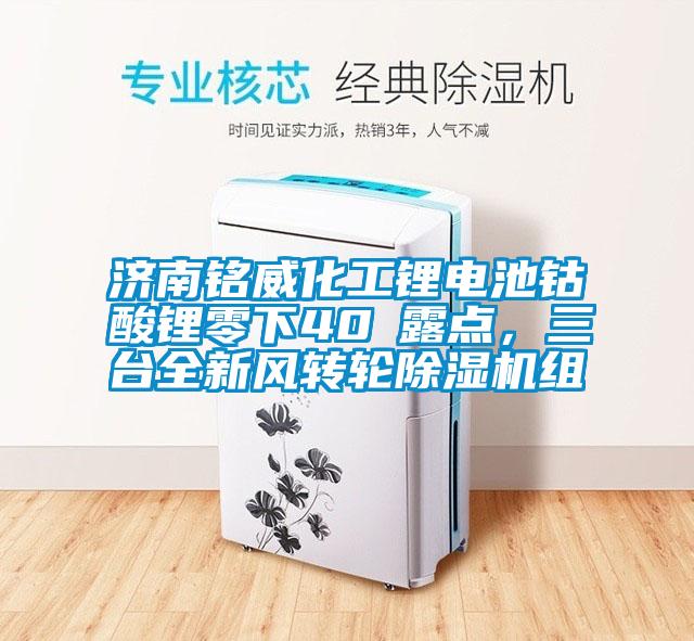 濟南銘威化工鋰電池鈷酸鋰零下40℃露點，三臺全新風轉輪除濕機組