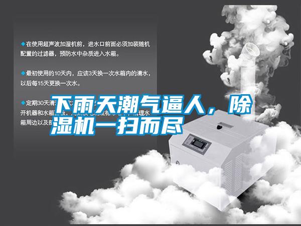 下雨天潮氣逼人，除濕機一掃而盡