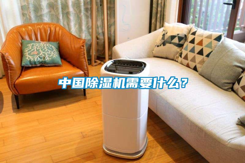 中國(guó)除濕機(jī)需要什么？