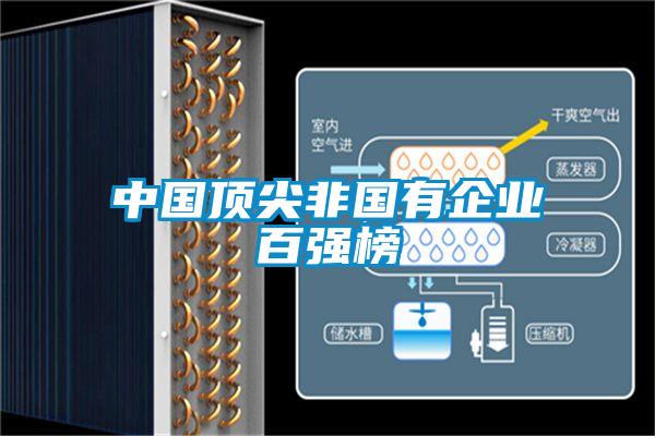 中國頂尖非國有企業(yè)百強榜