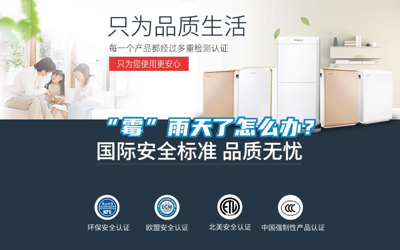 “霉”雨天了怎么辦？