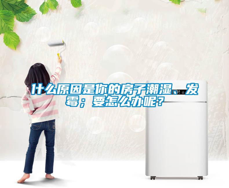 什么原因是你的房子潮濕、發(fā)霉；要怎么辦呢？