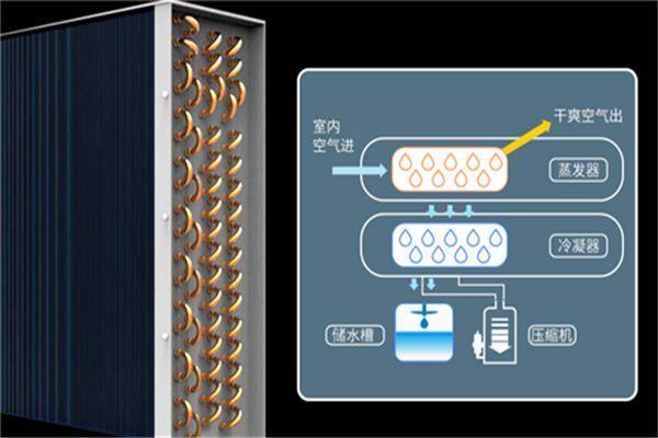 冷庫消毒用什么好？冷庫霧化消毒機(jī)
