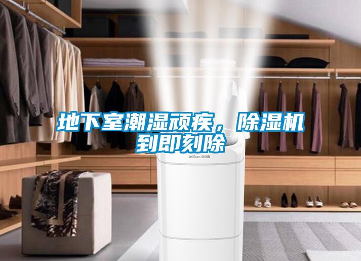地下室潮濕頑疾，除濕機到即刻除