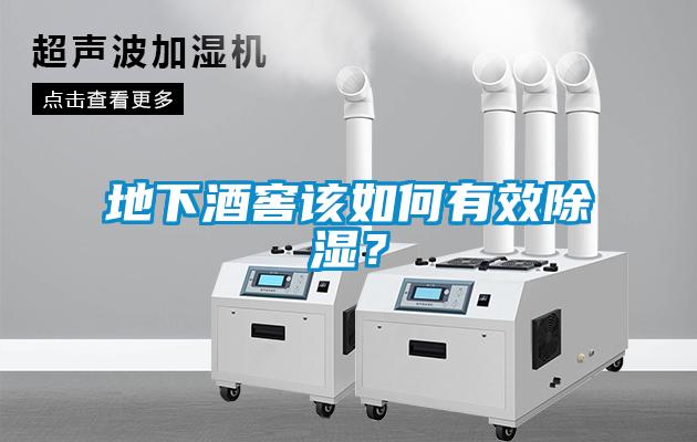 地下酒窖該如何有效除濕？