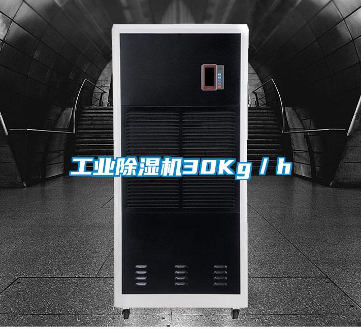 工業(yè)除濕機30Kg／h