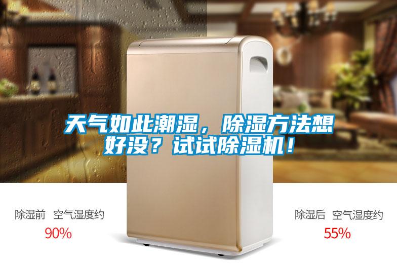 天氣如此潮濕，除濕方法想好沒？試試除濕機(jī)！