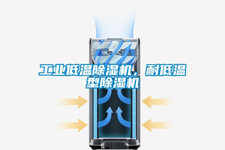 工業(yè)低溫除濕機，耐低溫型除濕機
