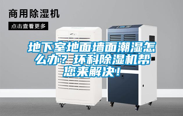 地下室地面墻面潮濕怎么辦?環(huán)科除濕機(jī)幫您來(lái)解決!