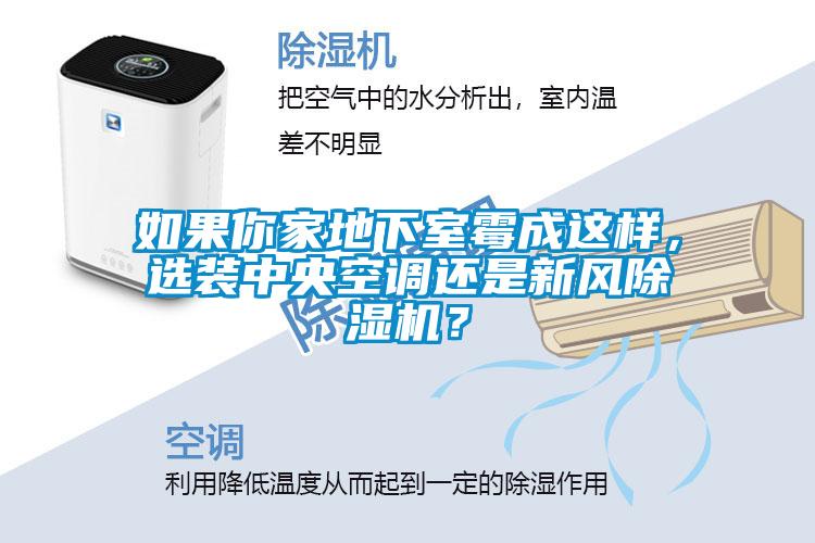 如果你家地下室霉成這樣，選裝中央空調(diào)還是新風(fēng)除濕機？