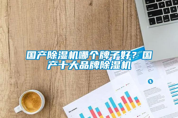 國產除濕機哪個牌子好？國產十大品牌除濕機