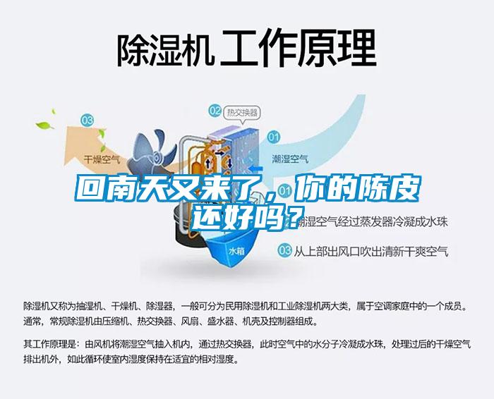 回南天又來了，你的陳皮還好嗎？