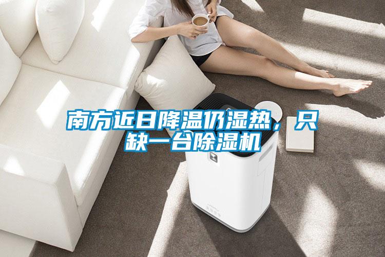 南方近日降溫仍濕熱，只缺一臺除濕機