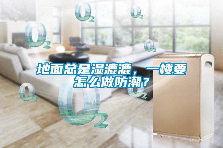 地面總是濕漉漉，一樓要怎么做防潮？
