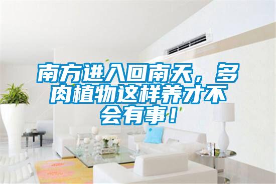 南方進(jìn)入回南天，多肉植物這樣養(yǎng)才不會有事！