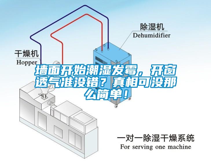 墻面開始潮濕發(fā)霉，開窗透氣準(zhǔn)沒錯(cuò)？真相可沒那么簡(jiǎn)單！