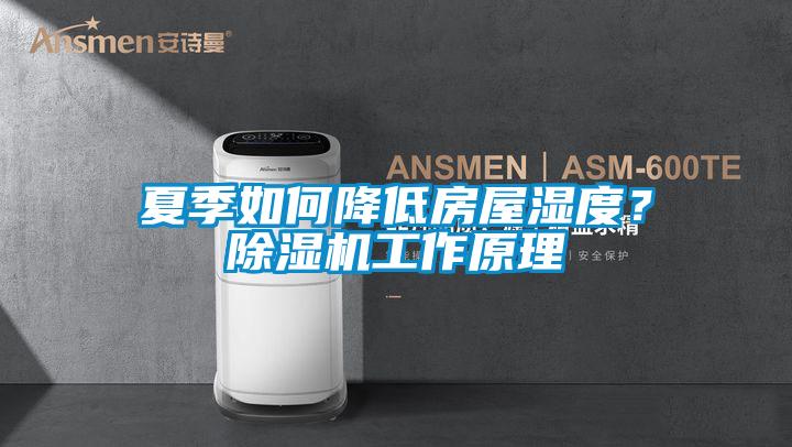 夏季如何降低房屋濕度？除濕機(jī)工作原理