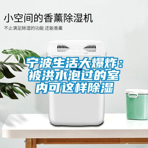 寧波生活大爆炸：被洪水泡過(guò)的室內(nèi)可這樣除濕