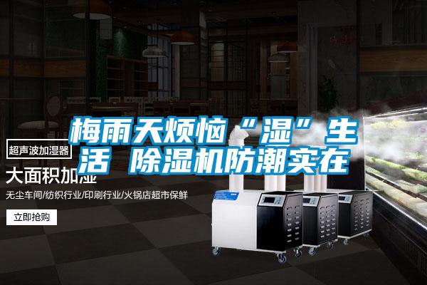 梅雨天煩惱“濕”生活 除濕機(jī)防潮實在