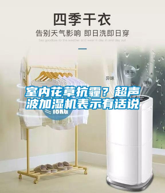 室內(nèi)花草抗霾？超聲波加濕機(jī)表示有話說(shuō)