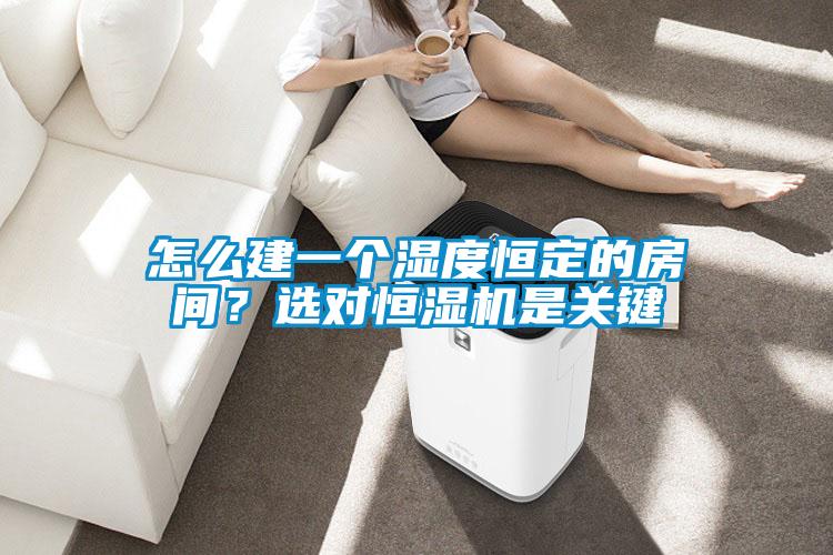 怎么建一個濕度恒定的房間？選對恒濕機是關鍵