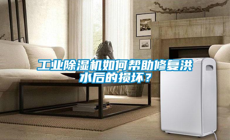 工業(yè)除濕機(jī)如何幫助修復(fù)洪水后的損壞？
