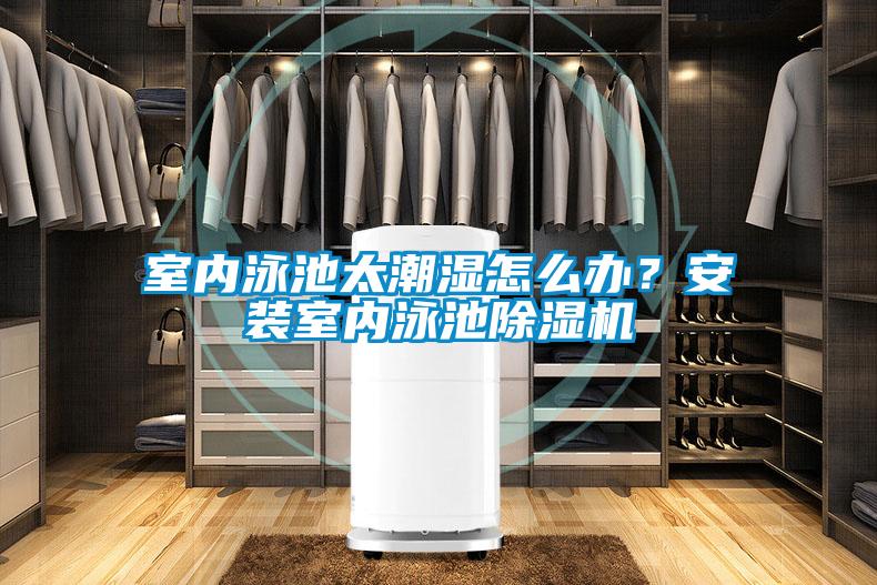 室內(nèi)泳池太潮濕怎么辦？安裝室內(nèi)泳池除濕機