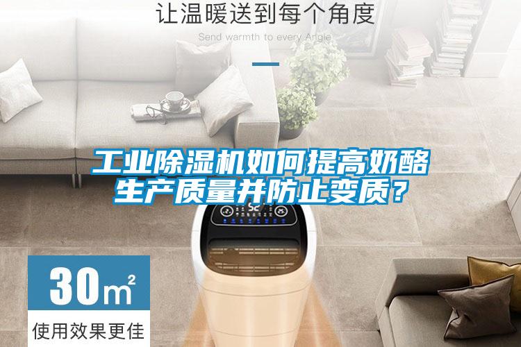 工業(yè)除濕機如何提高奶酪生產(chǎn)質量并防止變質？