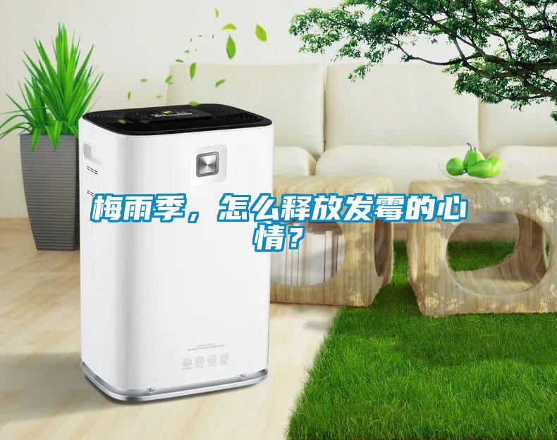 梅雨季，怎么釋放發霉的心情？
