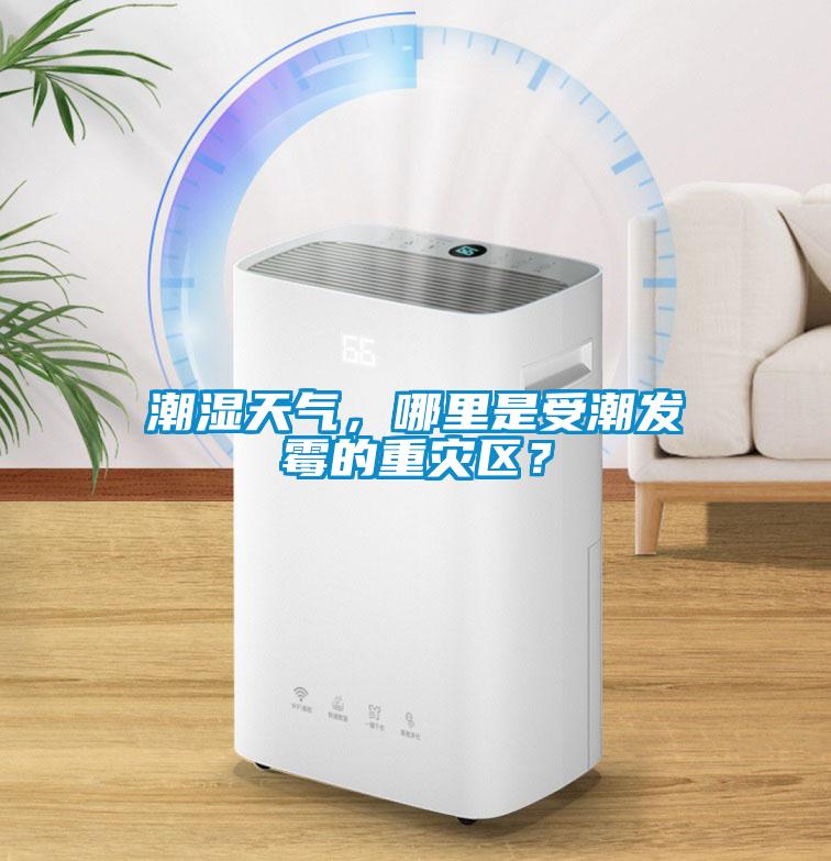 潮濕天氣，哪里是受潮發(fā)霉的重災(zāi)區(qū)？