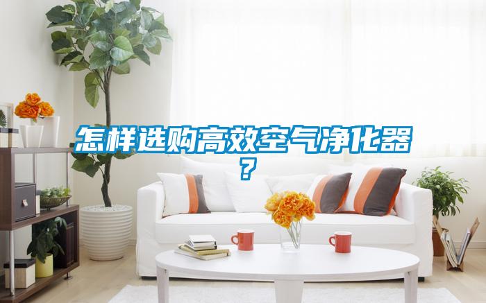 怎樣選購高效空氣凈化器？