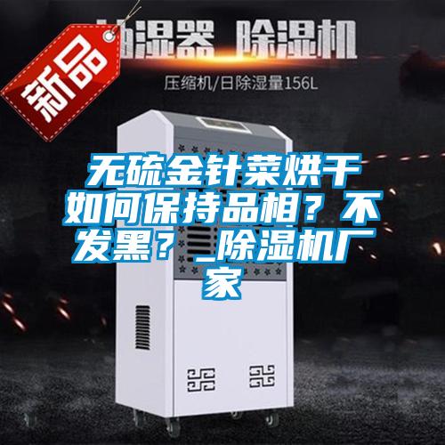 無(wú)硫金針菜烘干如何保持品相？不發(fā)黑？_除濕機(jī)廠家
