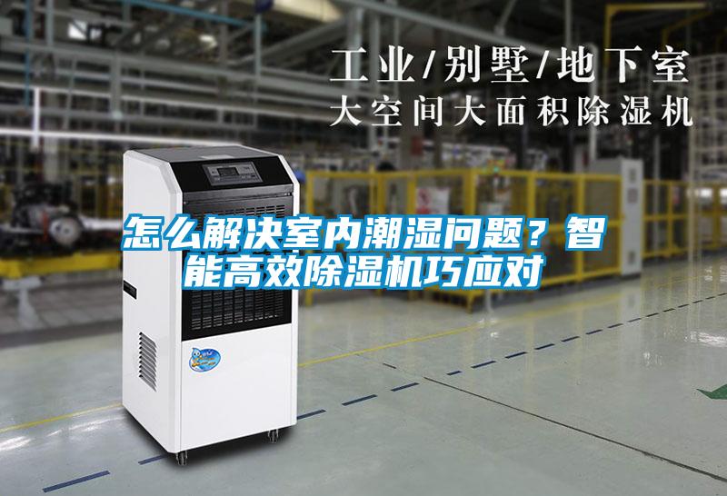 怎么解決室內潮濕問題？智能高效除濕機巧應對