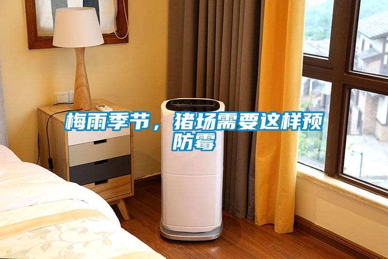 梅雨季節，豬場需要這樣預防霉