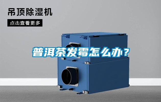 普洱茶發霉怎么辦？