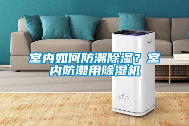 室內(nèi)如何防潮除濕？室內(nèi)防潮用除濕機