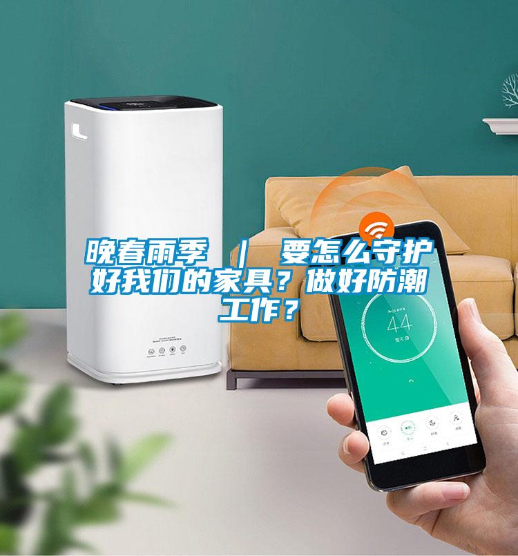 晚春雨季 ｜ 要怎么守護好我們的家具？做好防潮工作？