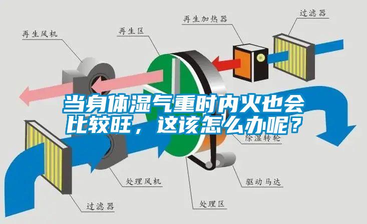 當身體濕氣重時內火也會比較旺，這該怎么辦呢？