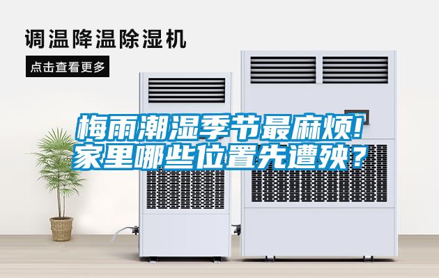 梅雨潮濕季節最麻煩!家里哪些位置先遭殃？