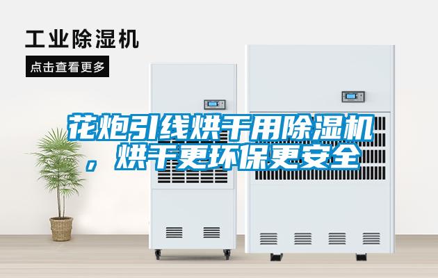 花炮引線烘干用除濕機，烘干更環保更安全