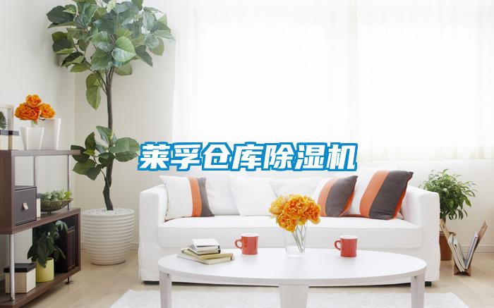 萊孚倉庫除濕機
