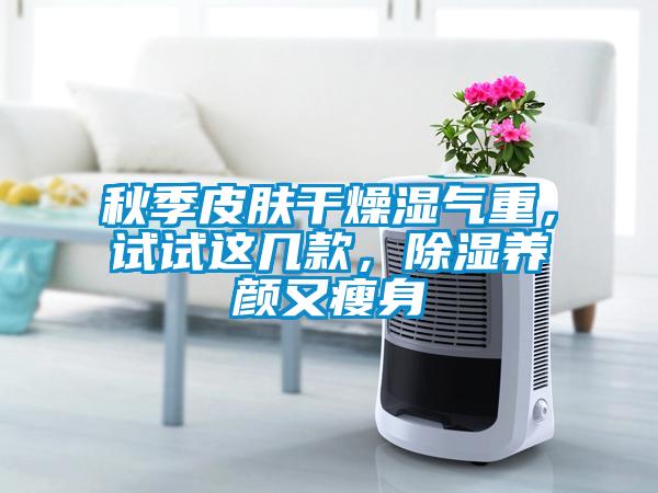 秋季皮膚干燥濕氣重，試試這幾款，除濕養顏又瘦身