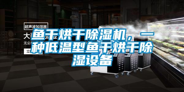 魚干烘干除濕機，一種低溫型魚干烘干除濕設備