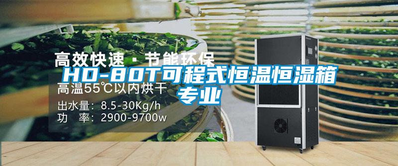 HD-80T可程式恒溫恒濕箱專業
