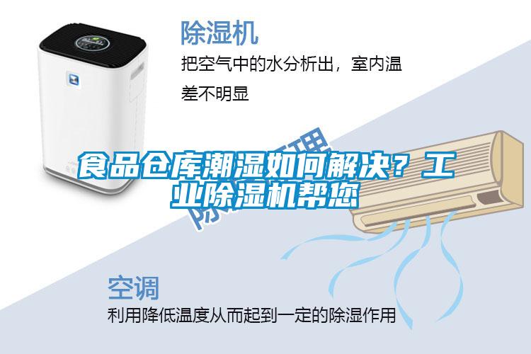 食品倉庫潮濕如何解決？工業除濕機幫您