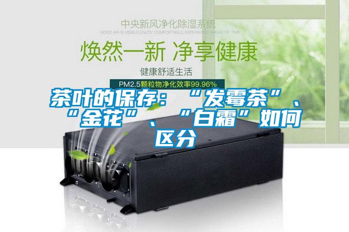 茶葉的保存：“發(fā)霉茶”、“金花”、“白霜”如何區(qū)分