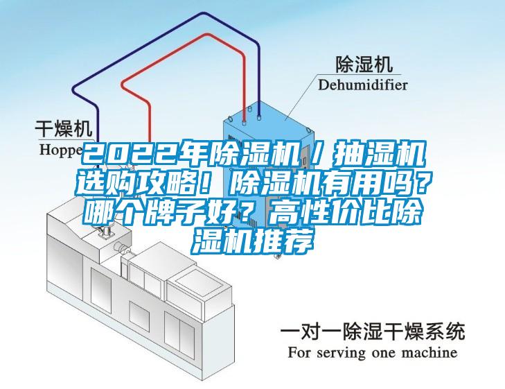 2022年除濕機／抽濕機選購攻略！除濕機有用嗎？哪個牌子好？高性價比除濕機推薦